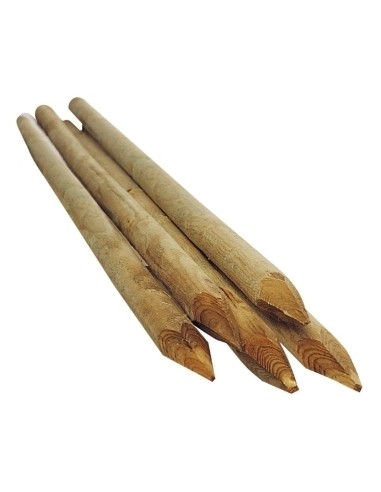 Tuteur Bois 150 x 4 cm Forest Style Tuteur bois et tuteur bambou