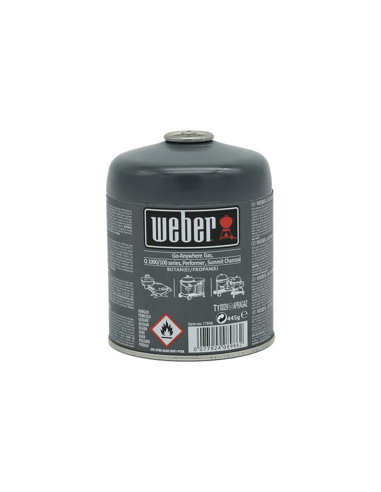 Cartouche de gaz pour barbecue - Weber Weber Charbons et allume-feux