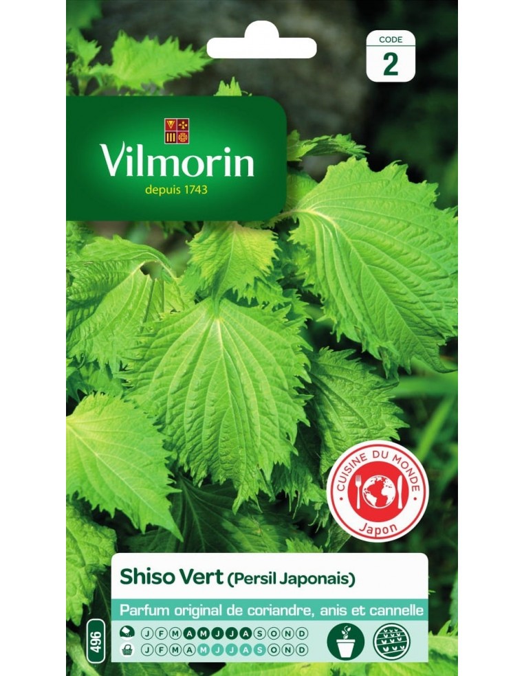 Shiso Vert Vilmorin Graines aromatique