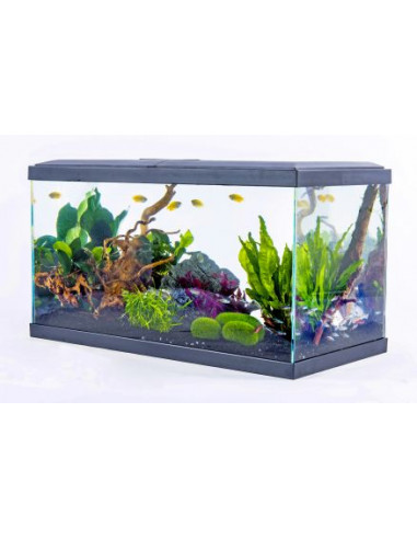 Aquarium Confort 60 Gris - INWA Inwa Aquarium pour poisson d'eau chaude