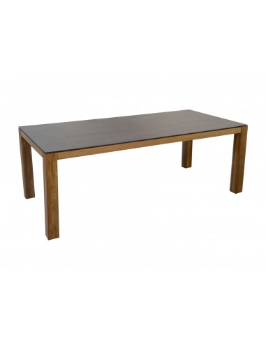 Table "Asola" Pro Loisirs Table de jardin