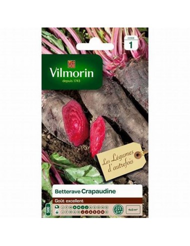 Betterave rouge crapaudine - Vilmorin Vilmorin Graines du potager