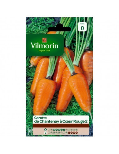 Carotte De Chantenay A Coeur Rouge - Vilmorin Vilmorin Graine potagère