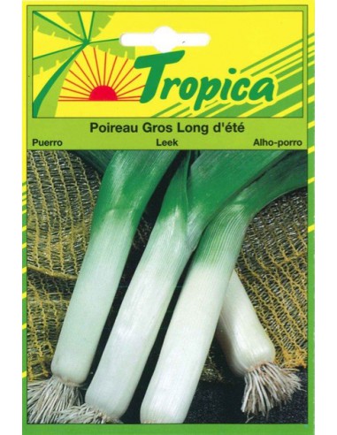 Graines de Poireau Gros Long d'été - Tropica Tropica Graines du potager