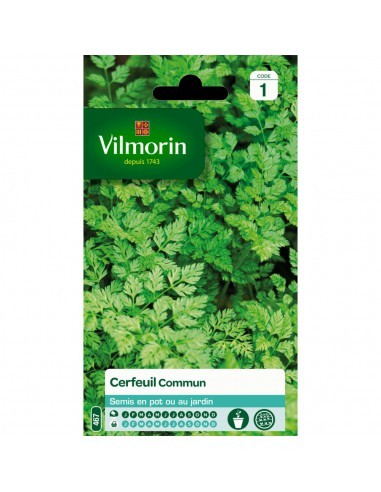 Cerfeuil Commun - Vilmorin Vilmorin Graines du potager