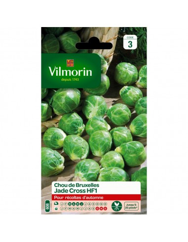 Chou De Bruxelles Jade Cross Hybride F1 - Vilmorin Vilmorin Graines du potager