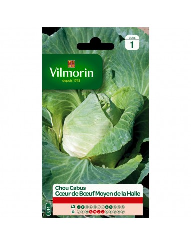 Chou Cabus Coeur De Boeuf Moyen De La Halle - Vilmorin Vilmorin Graines du potager
