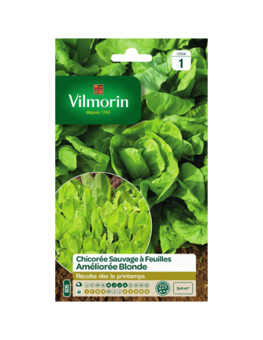 Chicorée Sauvage à Feuilles Améliorée Blonde - Vilmorin Vilmorin Graines du potager
