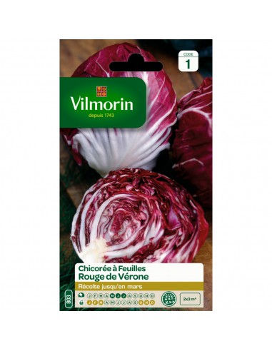 Chicorée Sauvage à Feuille Rouge De Vérone - Vilmorin Vilmorin Graines du potager