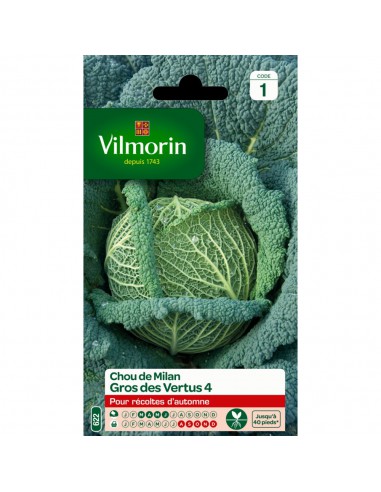 Chou De Milan Gros Des Vertus - Vilmorin Vilmorin Graine potagère