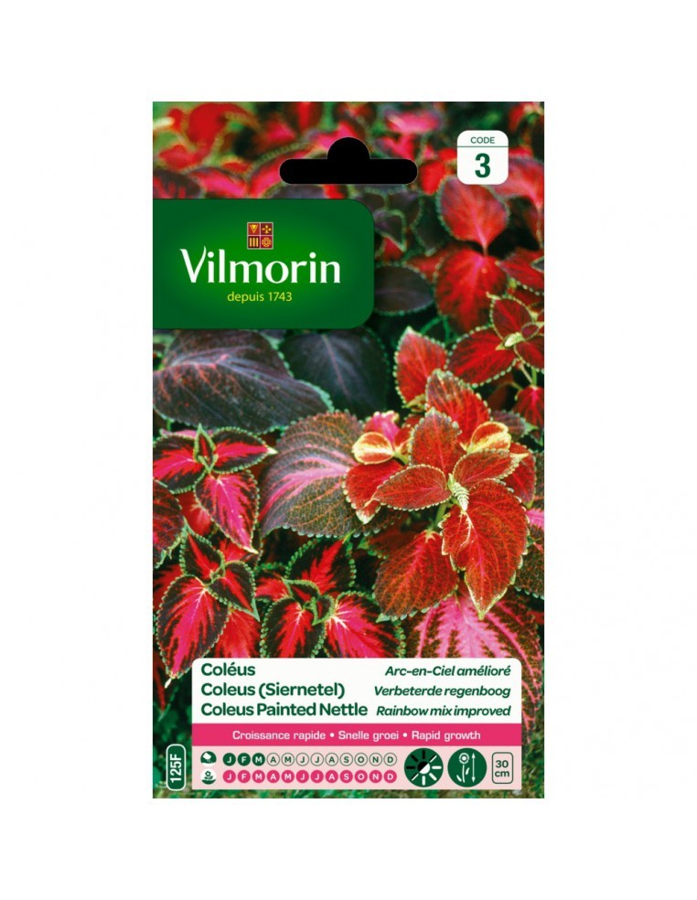 Coleus Arc En Ciel Améliorée - Vilmorin Vilmorin Graines de plante fleurie