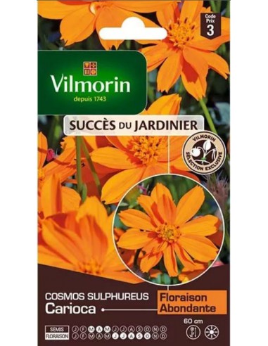 Cosmos Sulphureus Carioca - Vilmorin Vilmorin Graines de plante fleurie