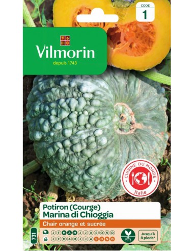Courge Marina Di Chiogga - Vilmorin Vilmorin Graines du potager