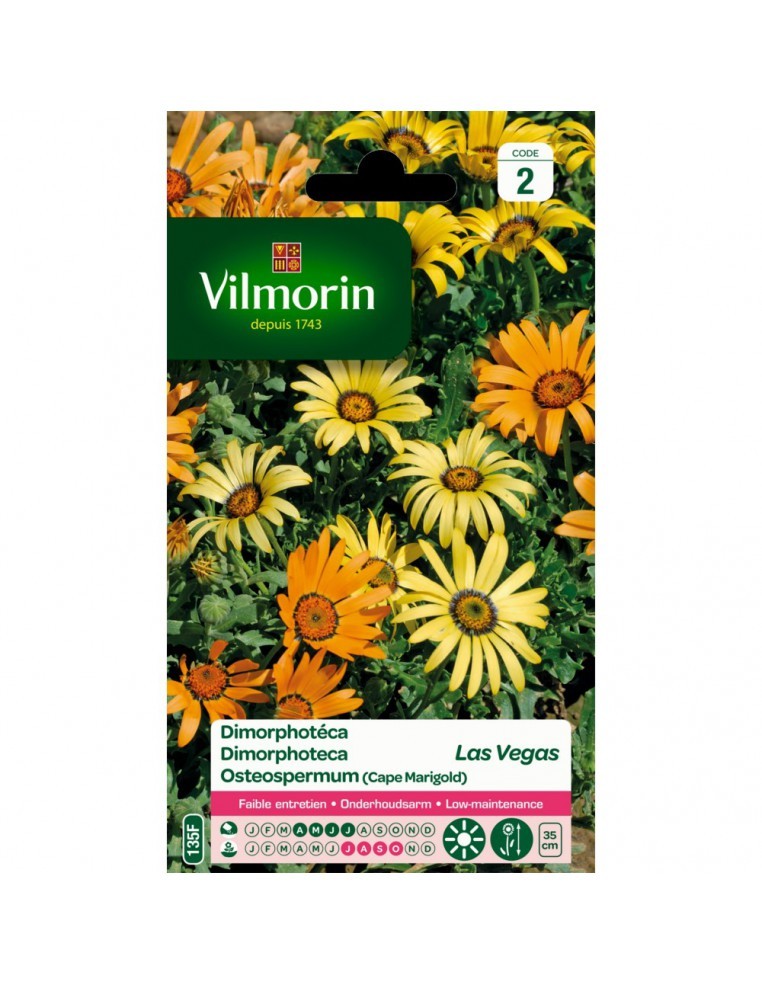 Dimorphoteca Las Vegas - Vilmorin Vilmorin Graines de plante fleurie