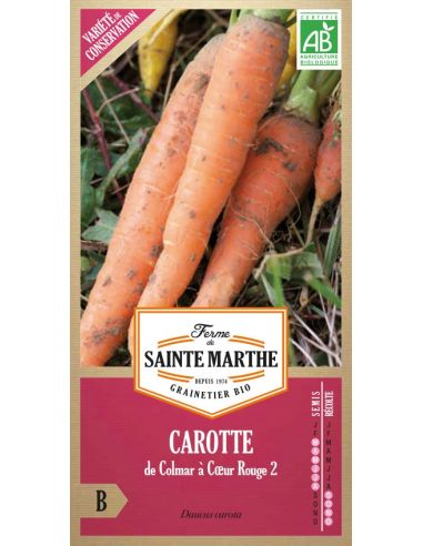 Carotte de Colmar à coeur rouge 2 La Ferme de Sainte Marthe Graines du potager