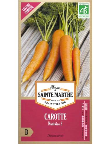 Carotte Nantaise 2 La Ferme de Sainte Marthe Graines du potager