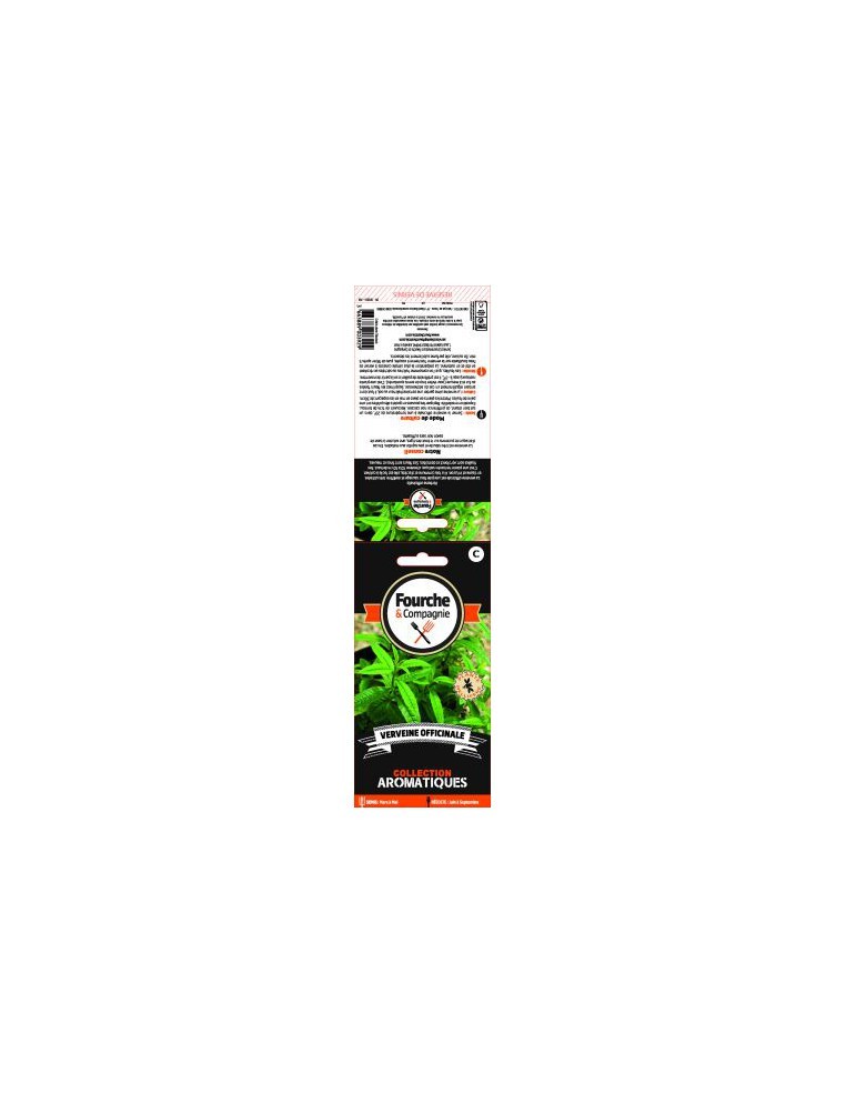 Graines de Verveine Officinale - Fourche & Compagnie Fourche & Compagnie Graines aromatiques
