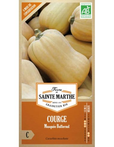 Courge musquée Butternut La Ferme de Sainte Marthe Graines du potager