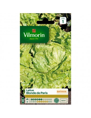 Laitue Batavia Blonde De Paris - Vilmorin Vilmorin Graines du potager