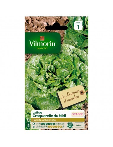 Laitue Grasse Craquerelle Du Midi - Vilmorin Vilmorin Graines du potager