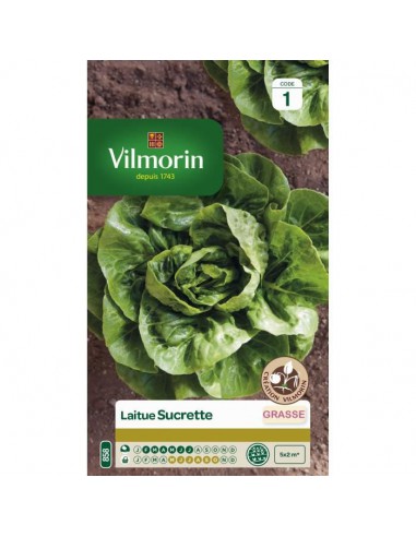 Laitue Grasse Sucrette - Vilmorin Vilmorin Graines du potager
