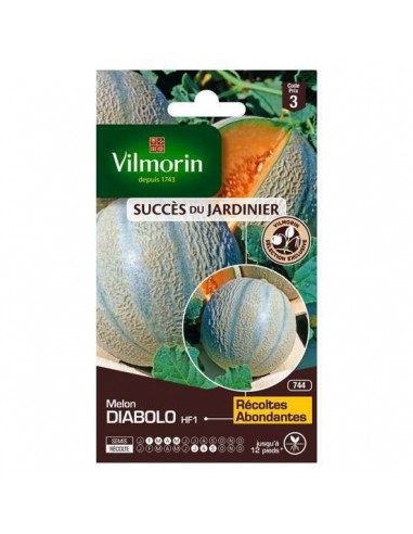 Melon Diabolo Hybride F1 - Vilmorin Vilmorin Graines du potager