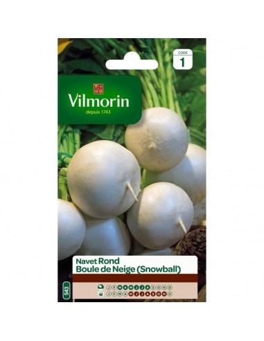 Navet Boule De Neige - Vilmorin Vilmorin Graines du potager