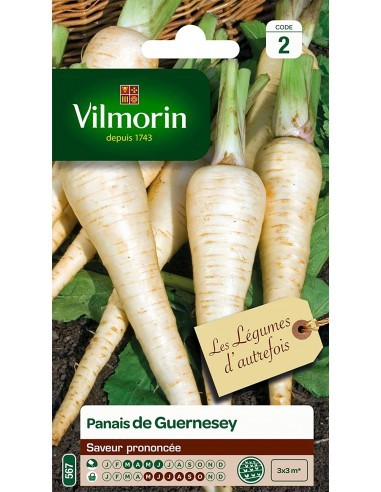 Panais De Guernesey - Vilmorin Vilmorin Graines du potager
