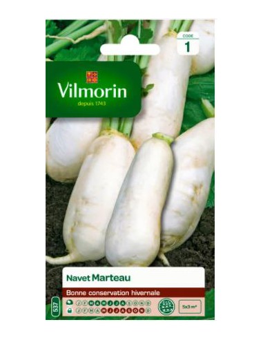 Navet Marteau - Vilmorin Vilmorin Graines du potager