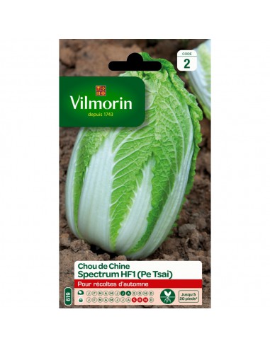 Chou De Chine Pe Tsai Spectrum Hybride F1 - Vilmorin Vilmorin Graines du potager