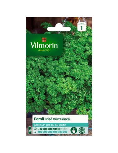 Persil Frisé Vert Foncé - Vilmorin Vilmorin Graines aromatiques