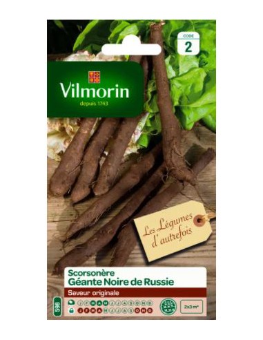Scorsonère Géante Noire De Russie - Vilmorin Vilmorin Graines du potager