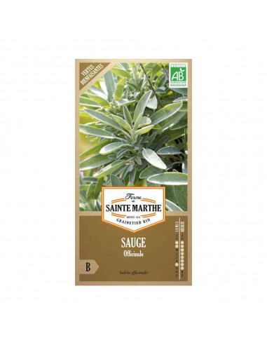 Graines de Sauge Officinale Bio - Sainte Marthe La Ferme Sainte Marthe Graines aromatiques