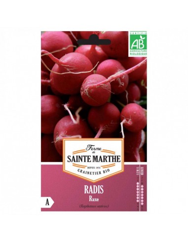 Graines de Radis Raxe Bio - Sainte Marthe La Ferme Sainte Marthe Graines du potager