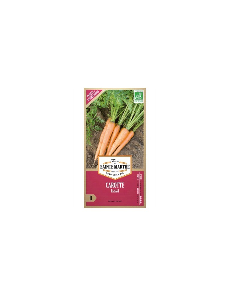 Carotte Rothild Bio - Saint Marthe La Ferme Sainte Marthe Graines du potager