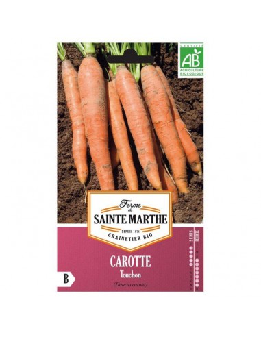 Carotte Touchon Bio - Saint Marthe La Ferme Sainte Marthe Graines du potager