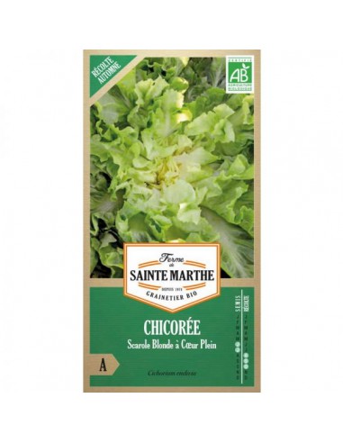 Chicorée Scarole Blonde à Cœur Plein Bio - Saint Marthe La Ferme Sainte Marthe Graines du potager