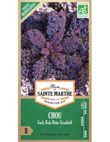 Chou Curly Kale Roter Grunkohl Bio - Saint Marthe La Ferme Sainte Marthe Graines du potager