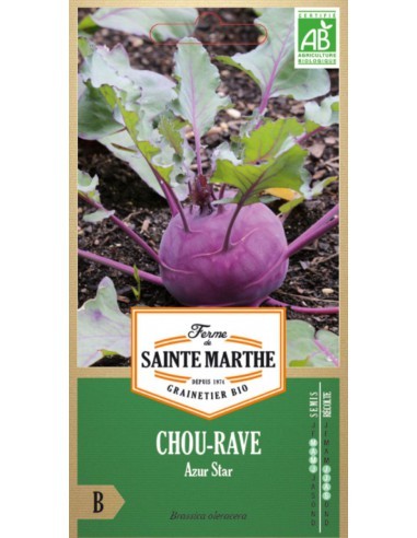 Chou-Rave Azur Star Bio - Saint Marthe La Ferme Sainte Marthe Graines du potager