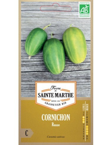 Cornichon Russe Bio - Saint Marthe La Ferme Sainte Marthe Graines du potager