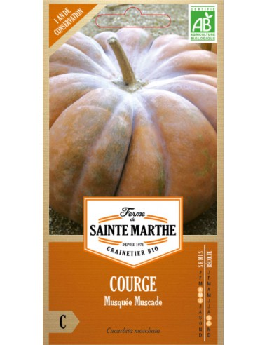 Courge Musquée Muscade Bio - Saint Marthe La Ferme Sainte Marthe Graines du potager