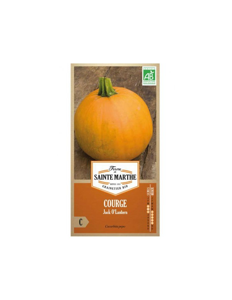 Courgette Jack O'Lantern Bio - Saint Marthe La Ferme Sainte Marthe Graines du potager