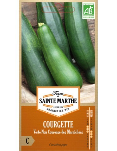 Courgette Verte Non Coureuse Des Maraichers Bio - Saint Marthe La Ferme Sainte Marthe Graines du potager