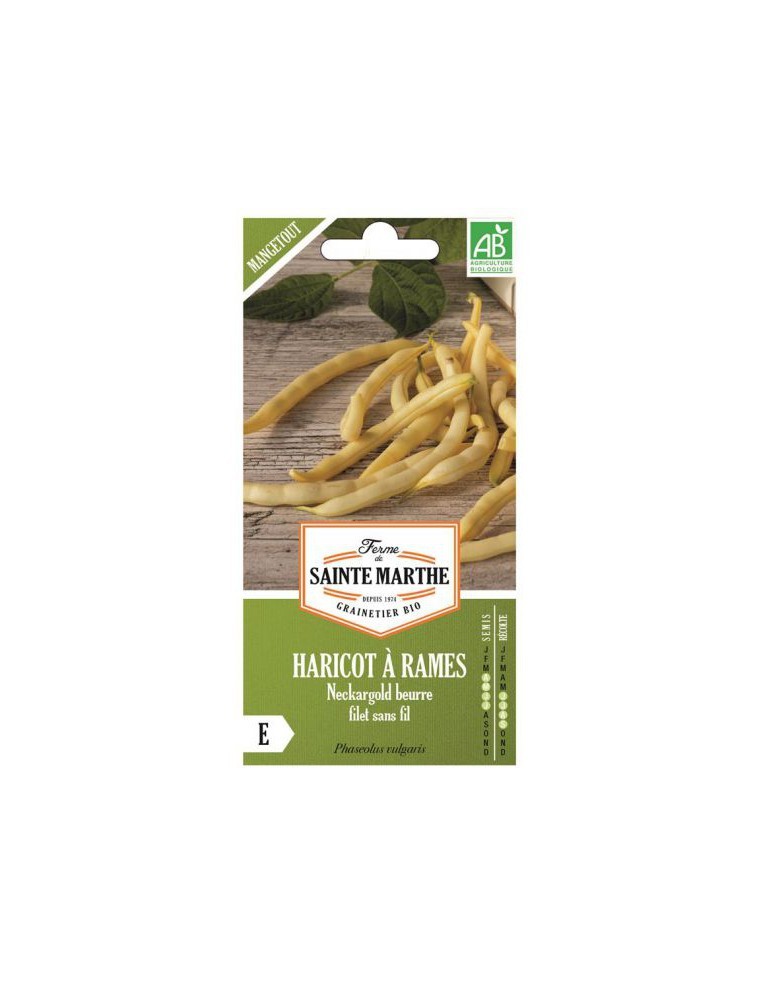 Haricot Beurre à Rames Neckargold 80G Bio - Saint Marthe La Ferme Sainte Marthe Graines du potager