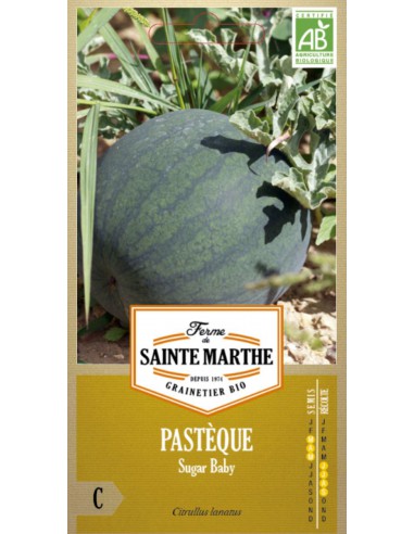 Graines de Pastèque Sugar Baby Bio - Sainte Marthe La Ferme Sainte Marthe Graines du potager