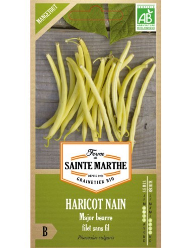 Haricot Beurre Nain Major 80G Bio - Saint Marthe La Ferme Sainte Marthe Graines du potager