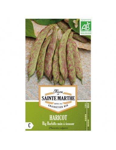 Haricot Plat Nain Big Borlotto à Ecosser Bio - Saint Marthe