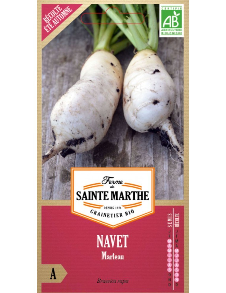 Graines de Navet Marteau Bio - Sainte Marthe La Ferme Sainte Marthe Graines du potager