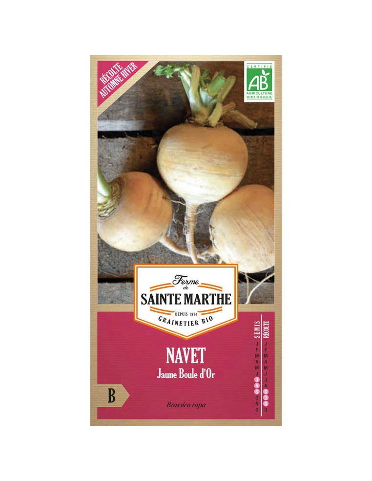 Graines de Navet Jaune Boule d'Or Bio - Sainte Marthe La Ferme Sainte Marthe Graines du potager