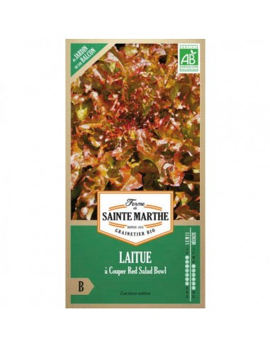 Laitue à Couper Red Salad Bowl Bio - Saint Marthe La Ferme Sainte Marthe Graines du potager